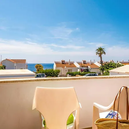 فيلة Sunflower By