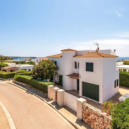 Sunflower By فيلة *